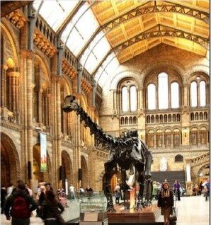London Explorer – King's College: Müze gezisi